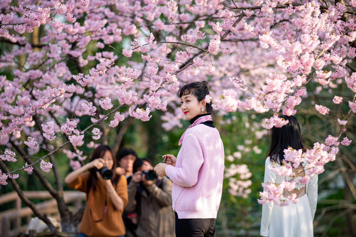 Visitors pose for pictures under blooming cherry blossoms at a botanical garden in Nanjing, Jiangsu province, China March 14, 2019. Picture taken March 14, 2019. REUTERS/Stringer  ATTENTION EDITORS - THIS IMAGE WAS PROVIDED BY A THIRD PARTY. CHINA OUT.