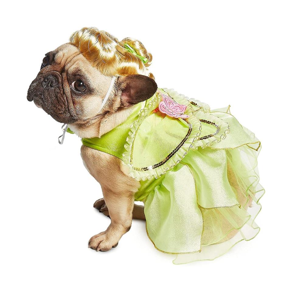 Dog wearing a Disney Tinker Belle Costume on a white background