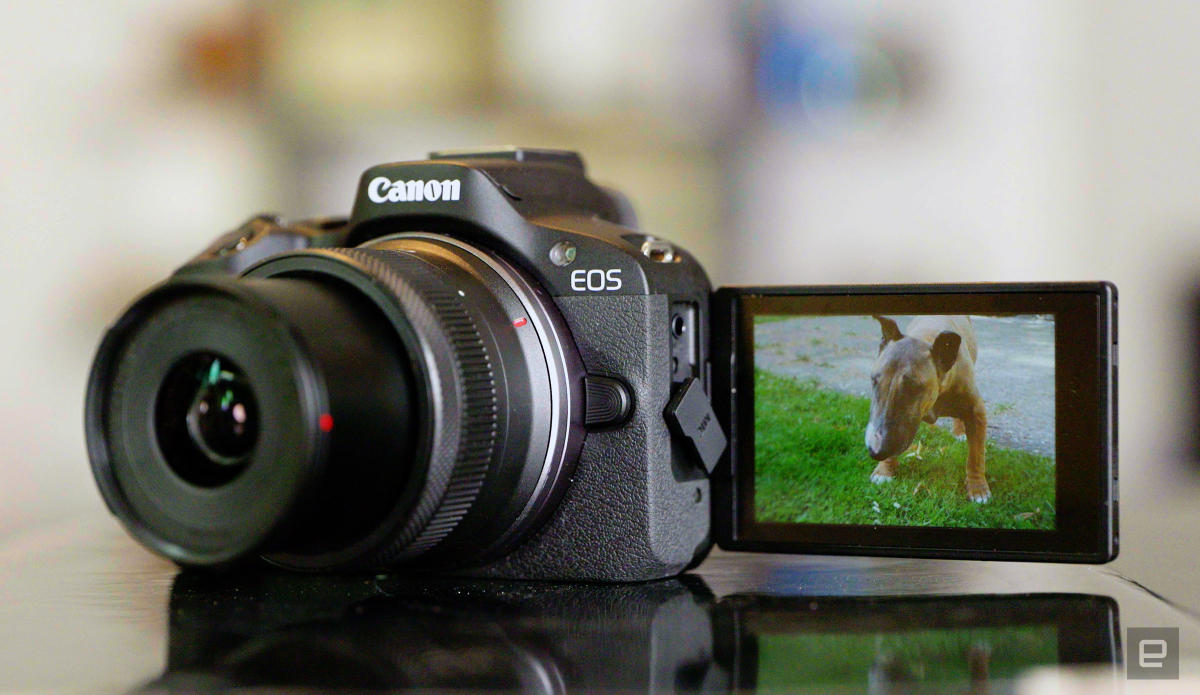Canon EOS M50 Mark II Review: A Solid Upgrade with Some Limitations -  Everythingpro