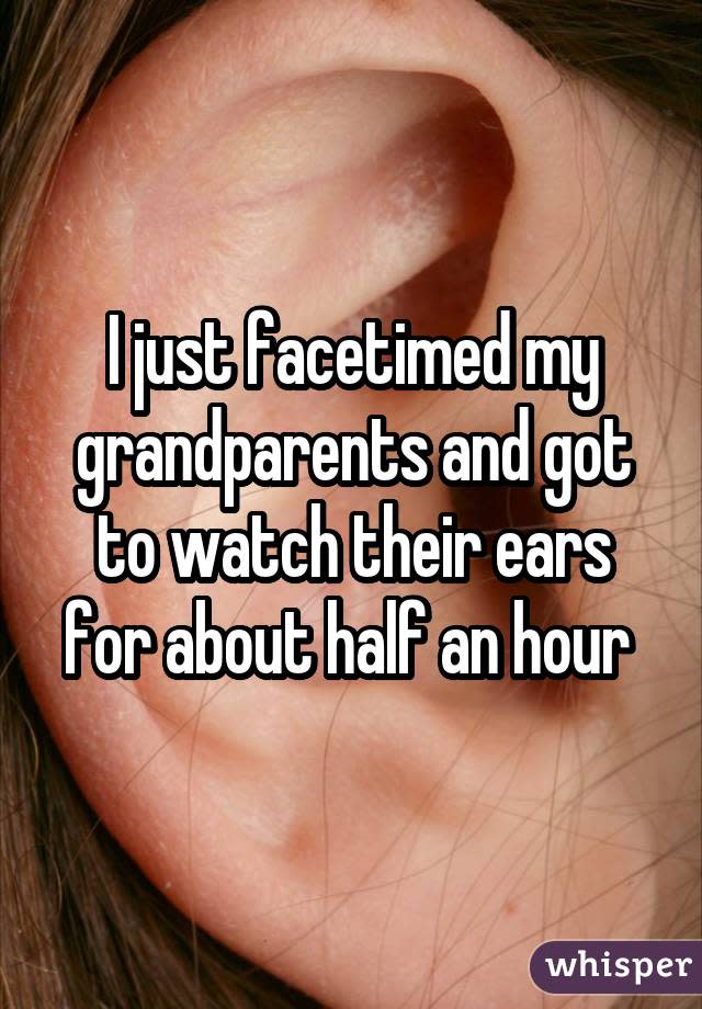 I just facetimed my grandparents and got to watch their ears for about half an hour 