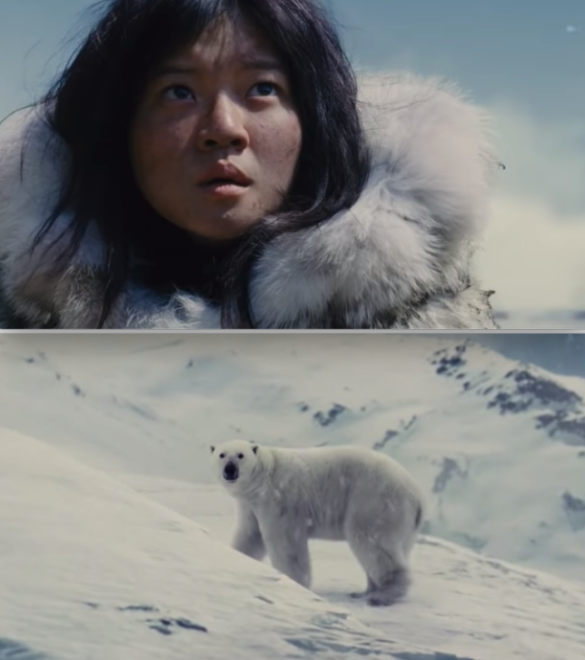 A passenger watching a polar bear outside