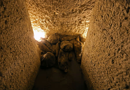 Mummified falcons and other bird species are found inside the newly discovered burial site, Tomb of Tutu, at al-Dayabat, Sohag, Egypt April 5, 2019. REUTERS/Mohamed Abd El Ghany