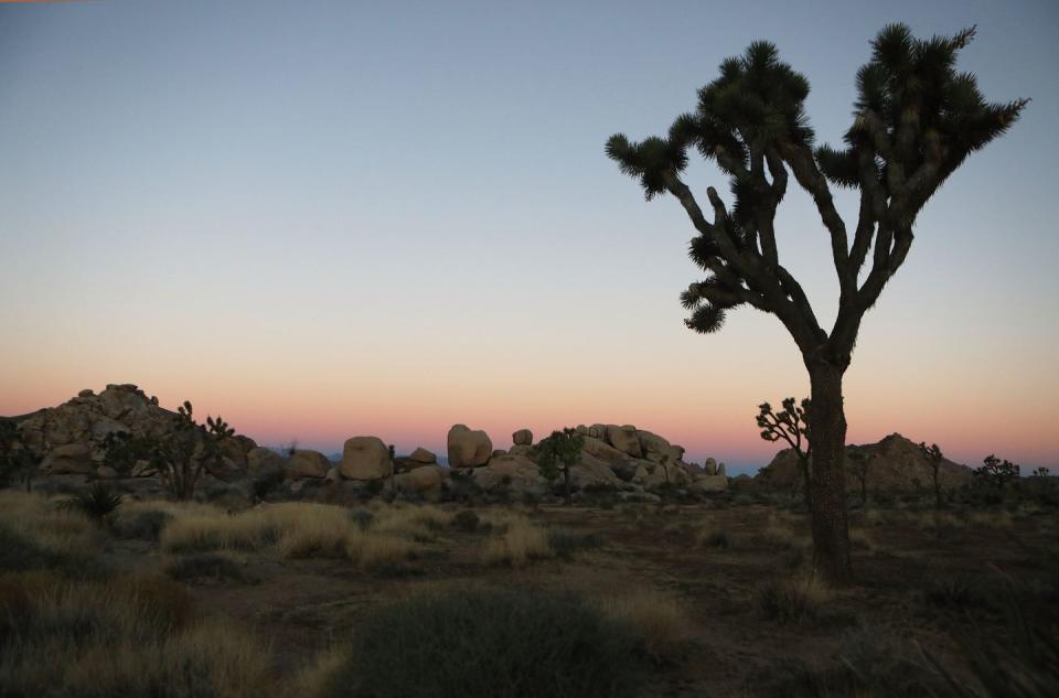 These Photos of U.S. National Parks Will Leave You Longing For a Weekend Away