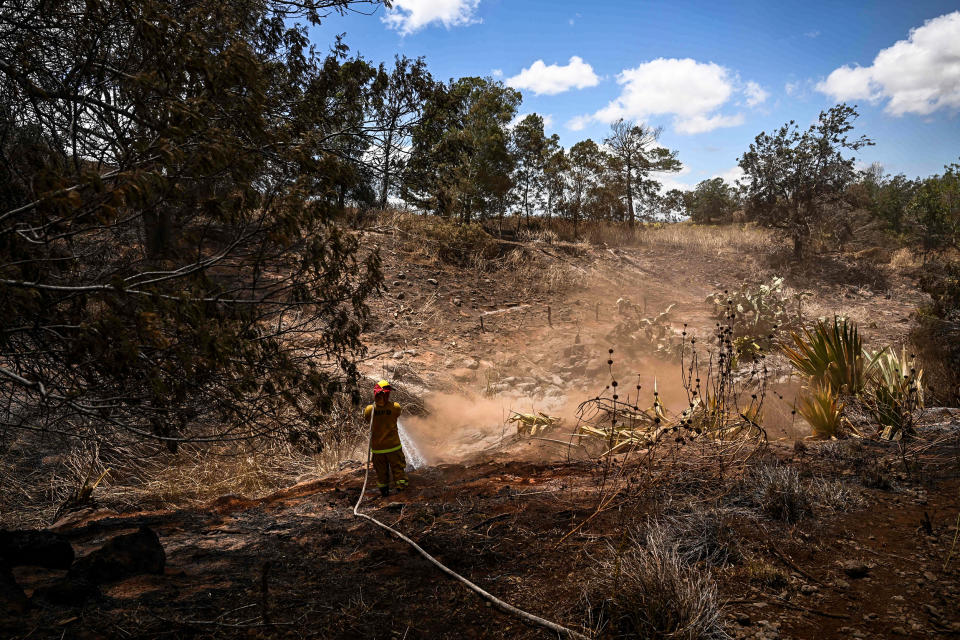 Image: A Maui County firefighter uses a hose line to extinguish a fire near homes during the upcountry Maui wildfires in Kula, Hawaii on Aug. 13, 2023. (atrick T. Fallon / AFP - Getty Images)