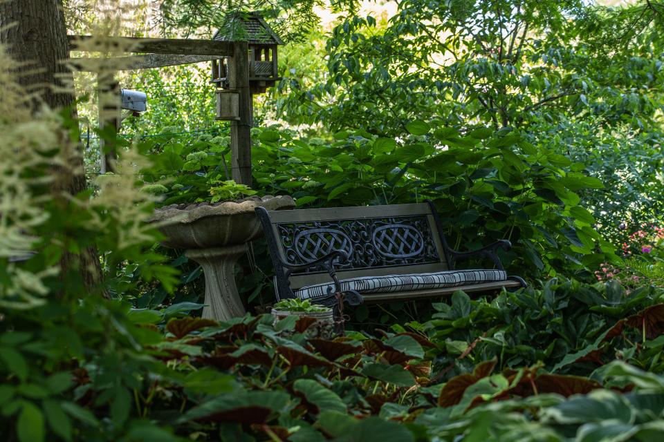 A wide variety of flowers and plants line pathways in Peggy Campbell's elaborate garden at her home in Louisville's Bellemeade neighborhood.