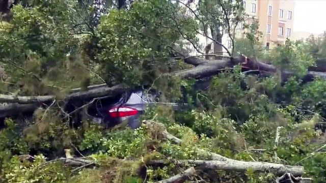 Un automóvil bajo los árboles caídos en la Florida. (CBS)