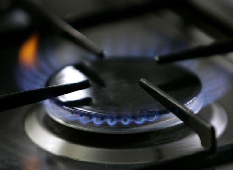 FILE - In this Jan. 11, 2006 file photo, a gas-lit flame burns on a natural gas stove in Stuttgart, Germany. A California restaurant organization is suing Berkeley over the city's ban on natural gas, which is set to take effect in January, 2020. The California Restaurant Association said in its lawsuit filed Thursday, Nov. 21, 2019, that many chefs use natural gas stoves and the prohibition will crimp the San Francisco Bay Area's reputation for international and fine cuisine. (AP Photo/Thomas Kienzle, File)