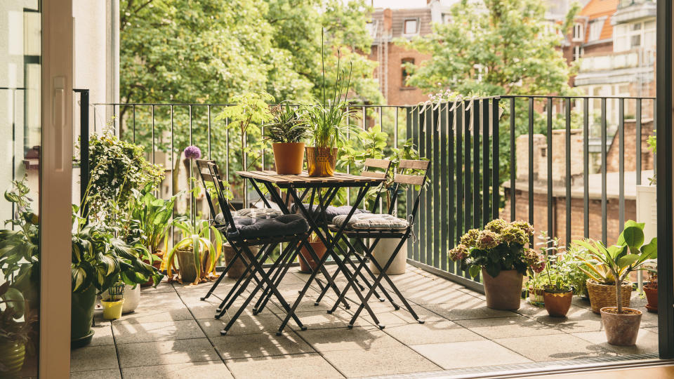 Balcony plants: 23 picks for pocket-sized growing spaces