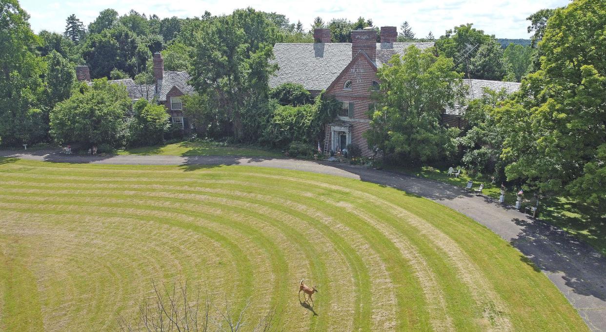 A deer grazes in the front yard at 818 Marion Avenue on Thursday afternoon. The well-known landmark was up for auction.