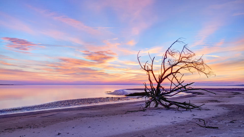 Photo of the beach on Talbot Islands