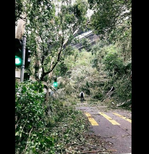 風球消息-天文台八號風球-天文台打風-2021-颱風-颱風溫黛-打風-2021-山竹-最強颱風-史上最強颱風-香港最強颱風