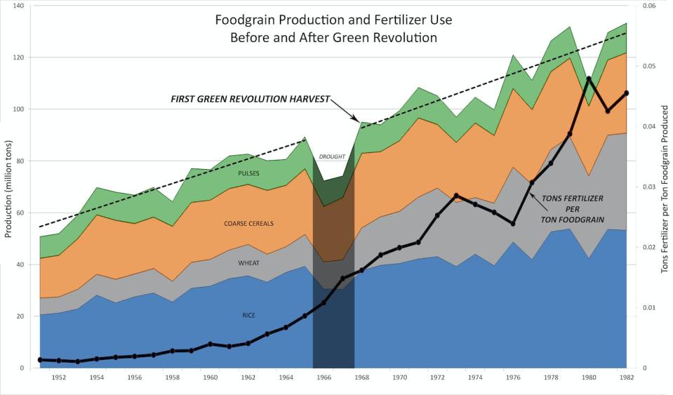 India’s Green Revolution wheat boom came at the expense of other crops; the growth rate of overall food grain production did not increase at all. It is doubtful that the ‘revolution’ produced any more food than would have been produced anyway. What increased dramatically was dependence on imported fertilizer. Glenn Davis Stone; data from India Directorate of Economics and Statistics and Fertiliser Association of India, <a href="http://creativecommons.org/licenses/by-nd/4.0/" rel="nofollow noopener" target="_blank" data-ylk="slk:CC BY-ND;elm:context_link;itc:0" class="link ">CC BY-ND</a>