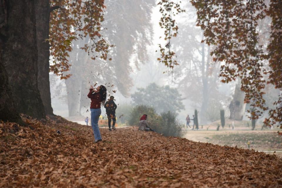 3) Play in the leaves.