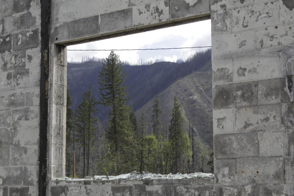 Burned forest is seen through the broken-out window of a business destroyed by flames in Blue River, Ore., on May 17, 2021. Blue River, an unincorporated community along the McKenzie River east of Eugene, Oregon, was one of many places in western Oregon devastated last fall during a 72-hour firestorm. Oregon's unprecedented 2020 wildfire burned 4,000 homes and more than 1 million acres, many of them in rainy areas of the state that aren't normally associated with extreme wildfire. (AP Photo/Gillian Flaccus)