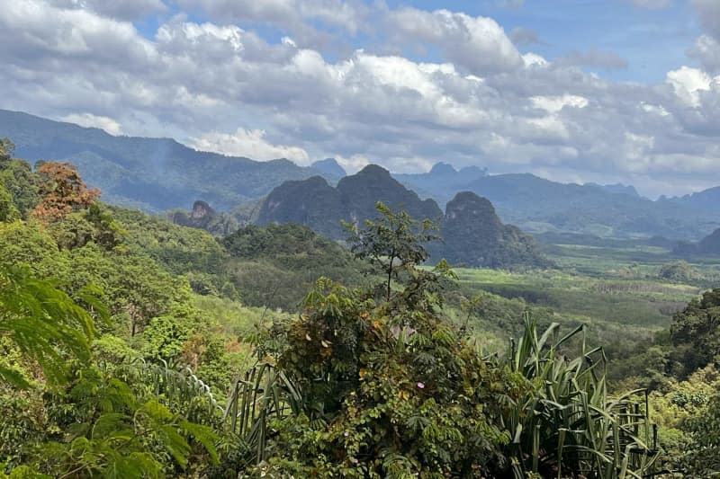 The mountainous landscape of Khao Sok National Park is home to one of the oldest rainforests in the world. Carola Frentzen/dpa