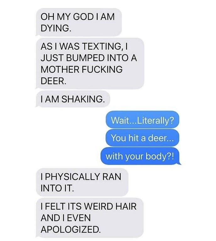 person who ran into a deer walking while texting