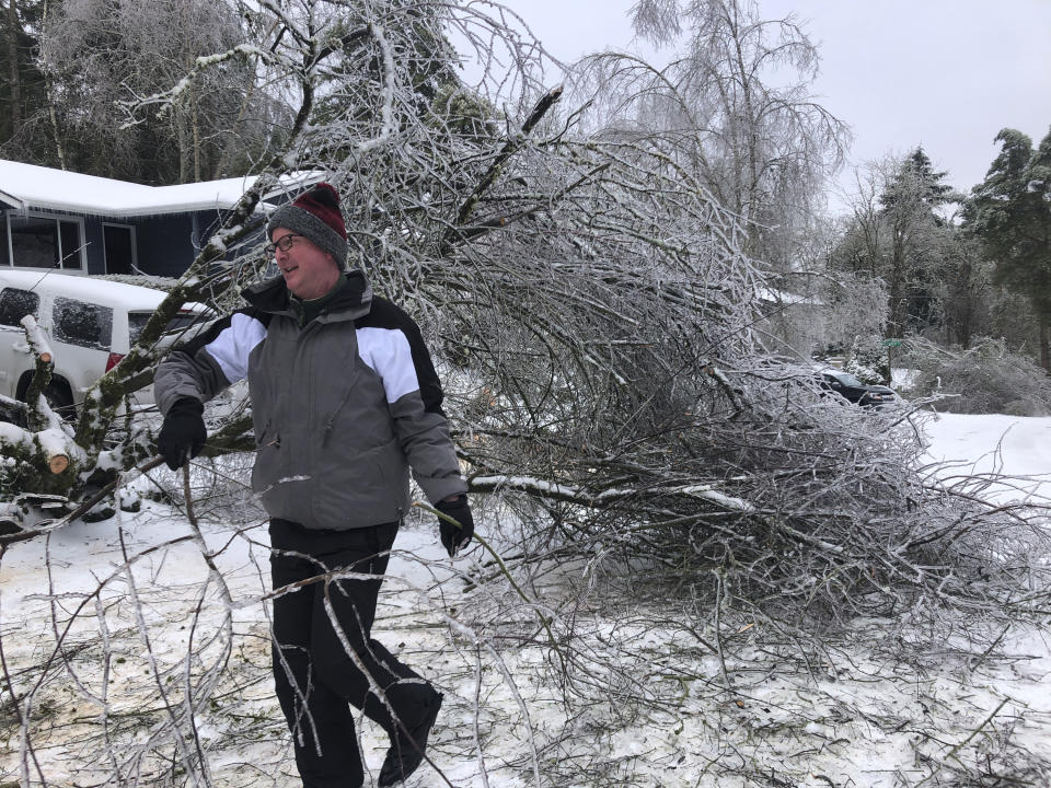 People walk by a collapsed tree in Lake Oswego, Ore., Saturday, Feb. 13, 2021. The tree fell during an ice and snowstorm that left hundreds of thousands of people without power and disrupted travel across the Pacific Northwest region. (AP Photo/Gillian Flaccus)