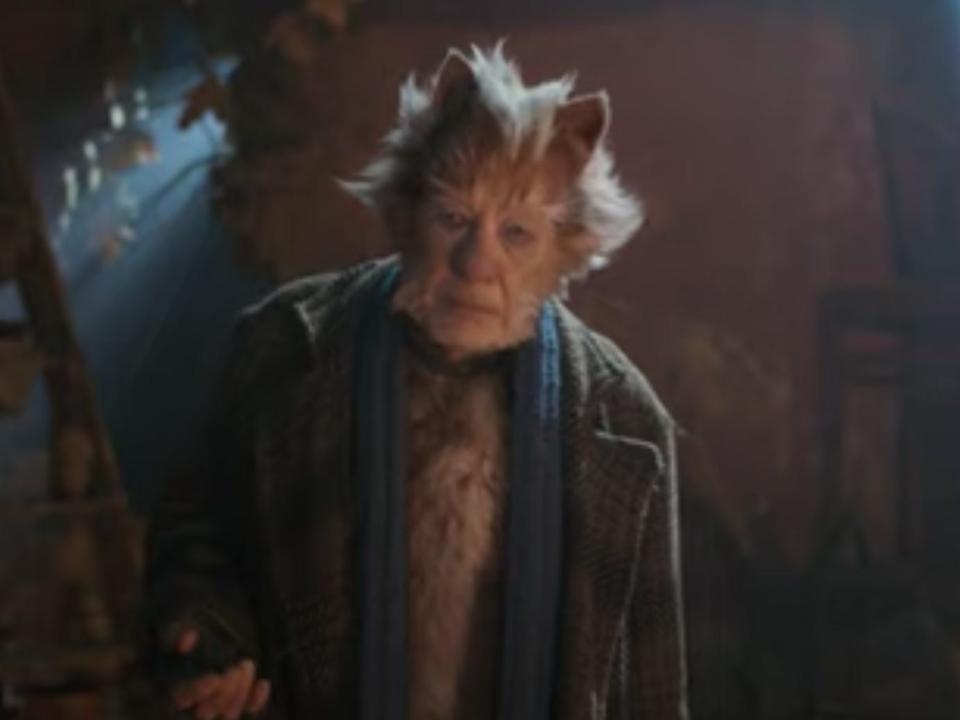 ian mckellen in cats