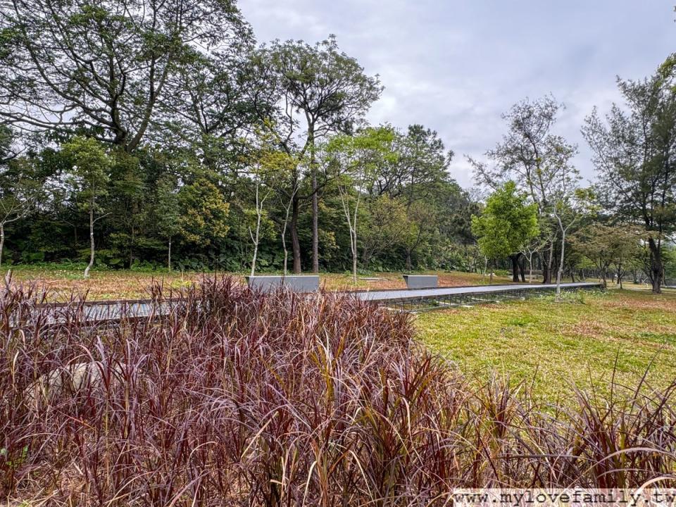 桃園大湳森林公園