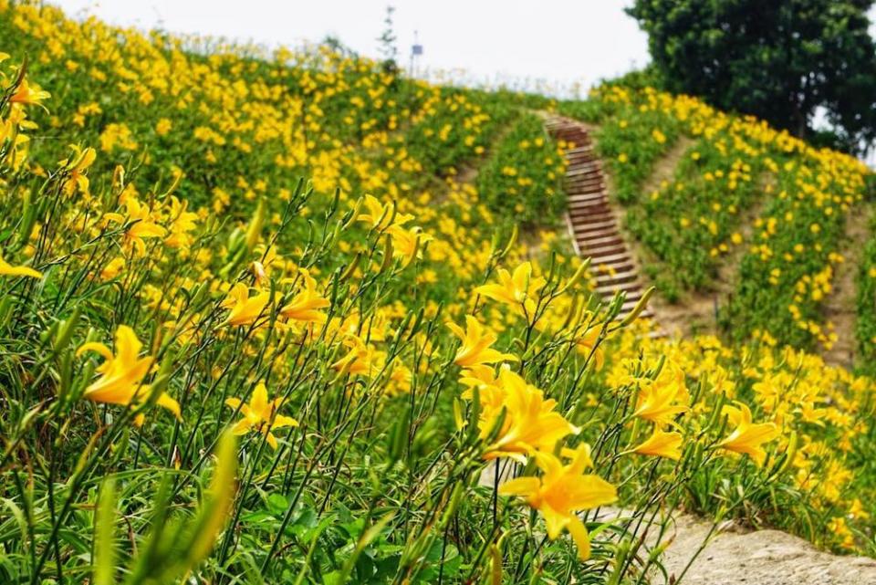 （圖片來源：花壇虎山巖三級古蹟FB）