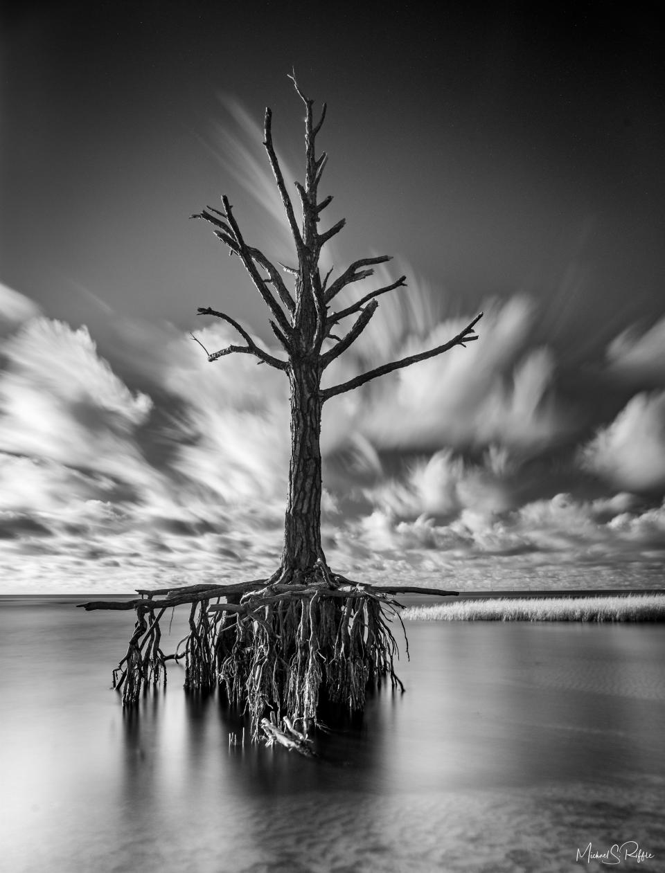 Michael Riffle shows Florida’s wildlife photos at the 2022 Photofest opening at the Artport Gallery in November.