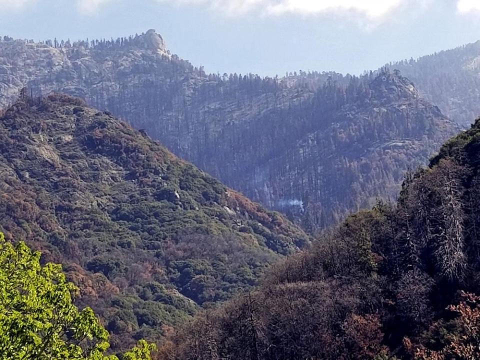 landscape shows smoke rising from trees