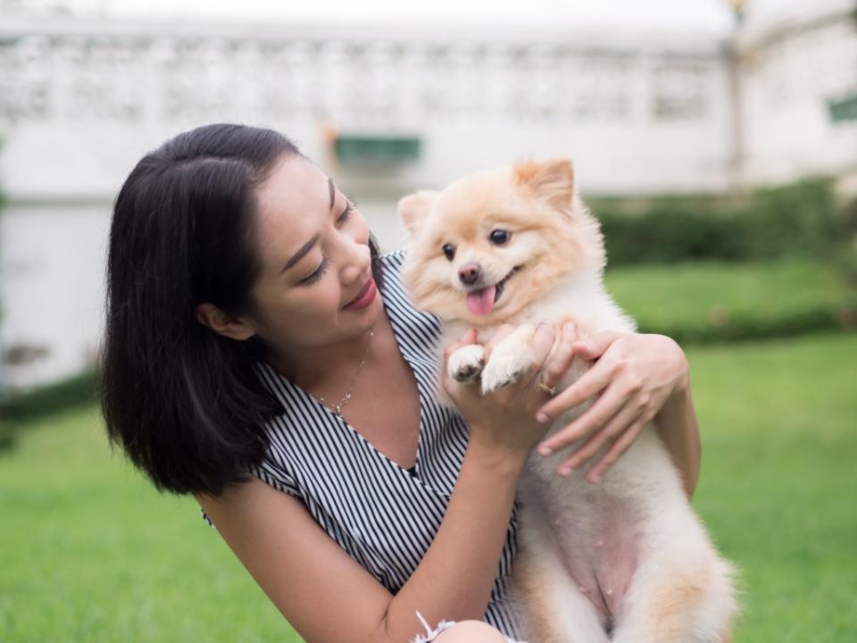 短毛狗的毛髮比較容易照顧，如果飼主怕麻煩，倒是要好好考慮毛髮問題。圖/123RF圖庫