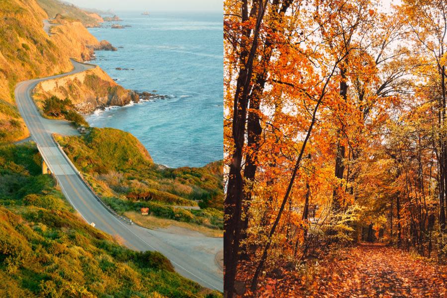 ¡Ya llega otoño! Estas son las fechas y el lugar ideal en California para disfrutar los "colores de otoño"