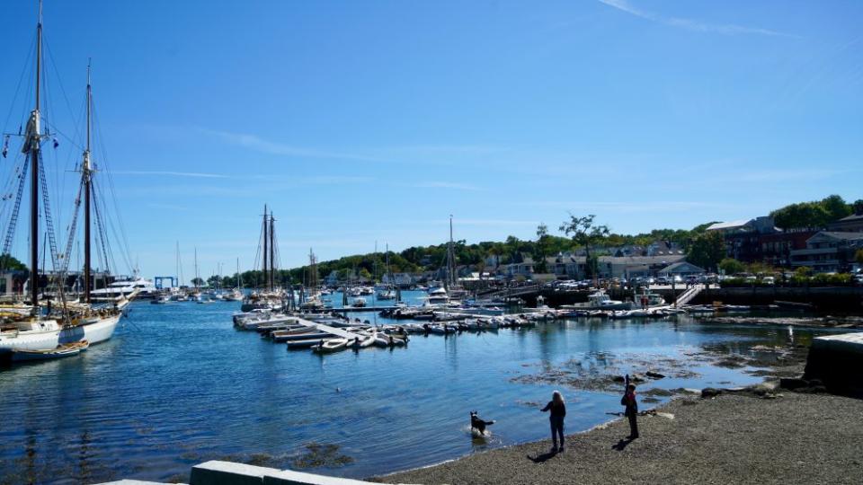 The harbor in Camden, Maine