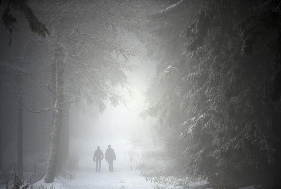 Two people walk on a fogy day, through the forest near Brotterode, Germany, Wednesday, Jan. 16, 2019. (Martin Schutt/dpa via AP)