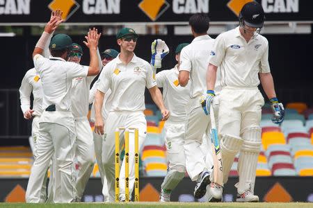 New Zealand batsman Jimmy Neesham (R) departs as Australian players celebrate his wicket, during the first cricket test match between Australia and New Zealand in Brisbane November 9, 2015. REUTERS/Patrick Hamilton