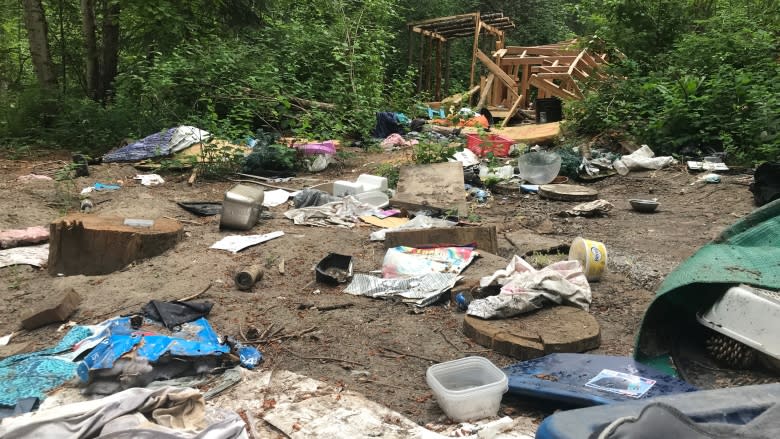 Clean-up planned for 'filthy' campsite left by notorious mail thieves near Peachland