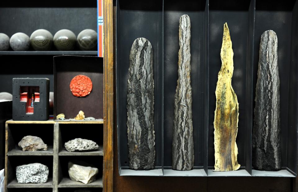 Curious objects like pieces of desiccated cacti and rocks inhabit a shelf in a studio