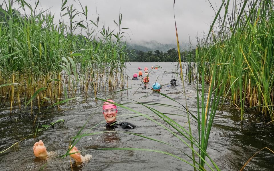 Guided wild swim in Rydal Water - Tor McIntosh