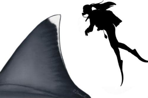 Comparison of an adult Megalodon's dorsal fin to a 1.6 m diver Fin reconstruction by Oliver E. Demuth