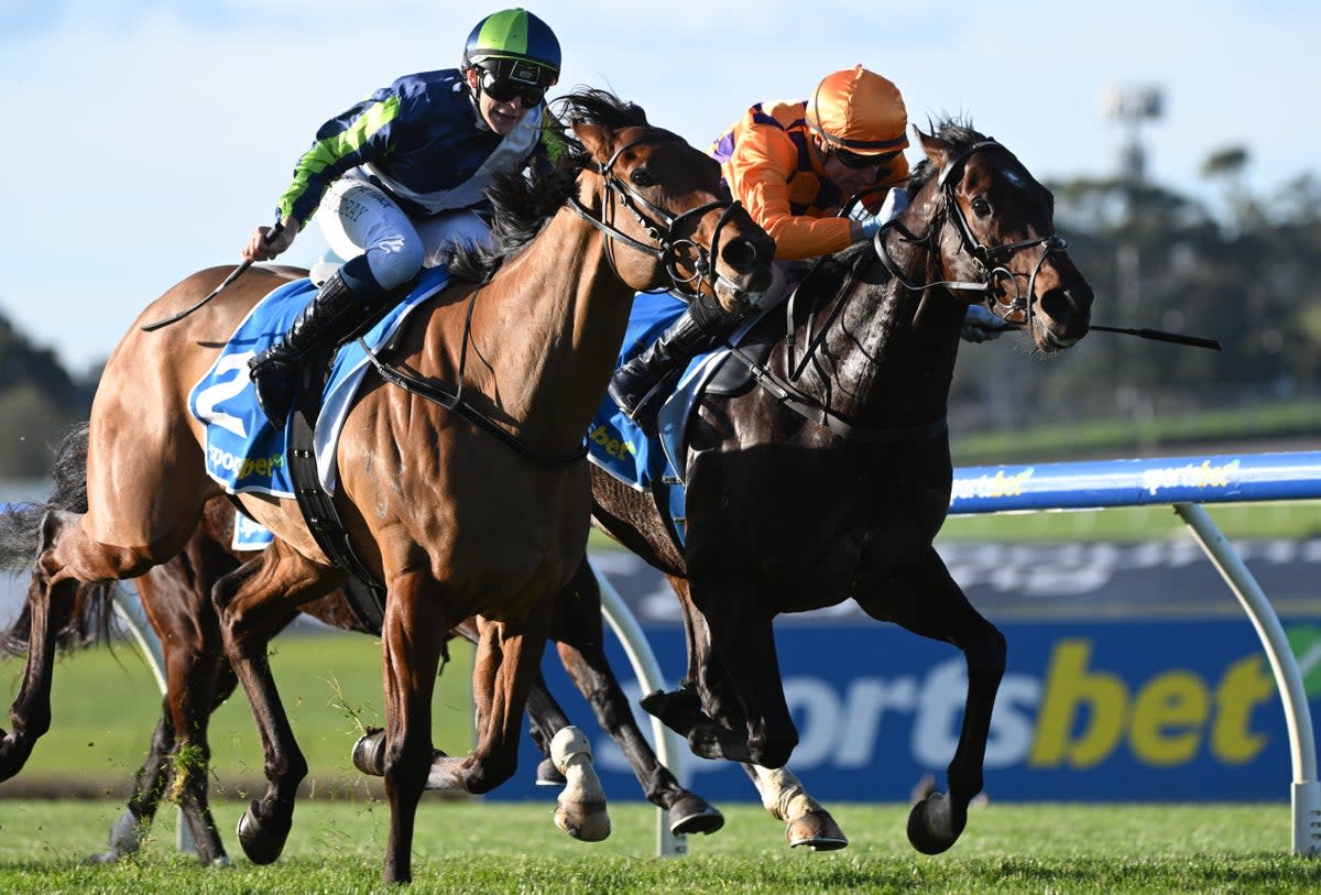 Horse racing continues on Friday (Getty Images)