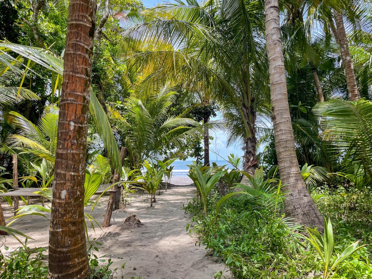 Isla Palenque, a five-star private island resort in Panama.