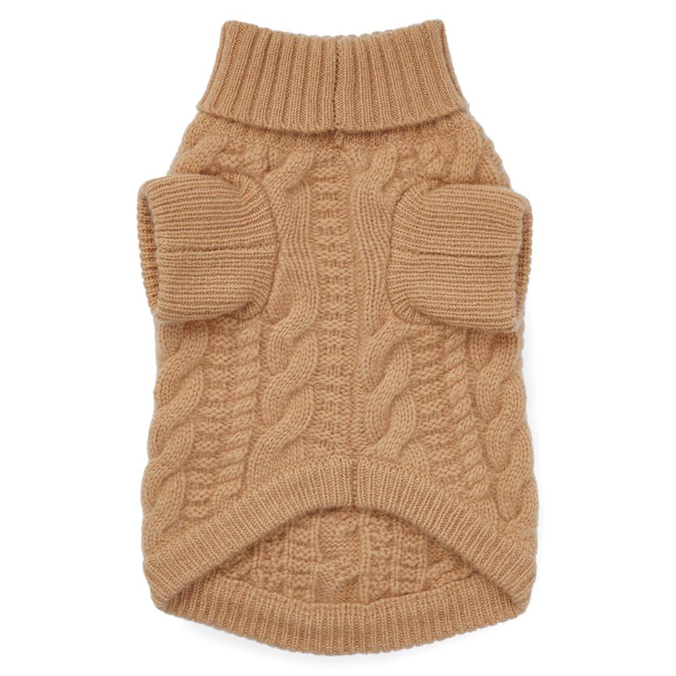 Nordstrom Dog Sweater