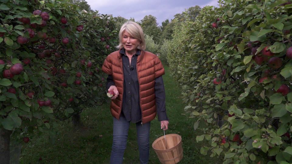 Martha Stewart in her apple orchard.  / Credit: CBS News