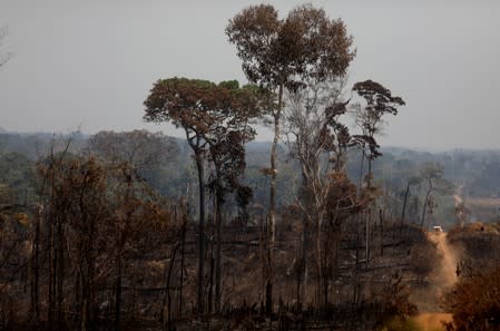 A car drives past a burning tract of Amazon jungle in Porto Velho