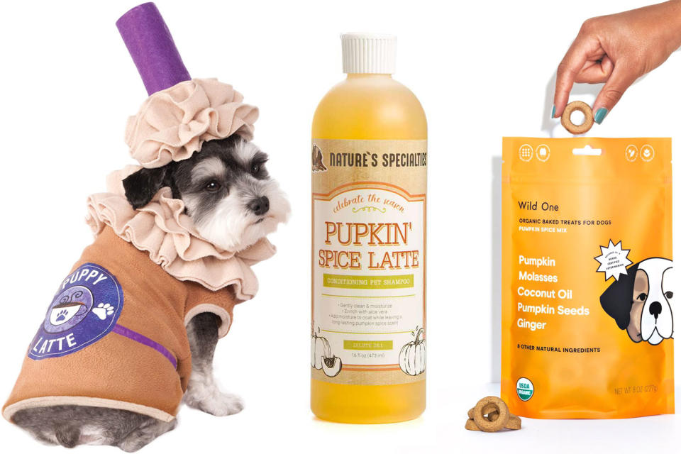 12 Gifts for Dog Owners Obsessed with Pumpkin Spice and Pooches