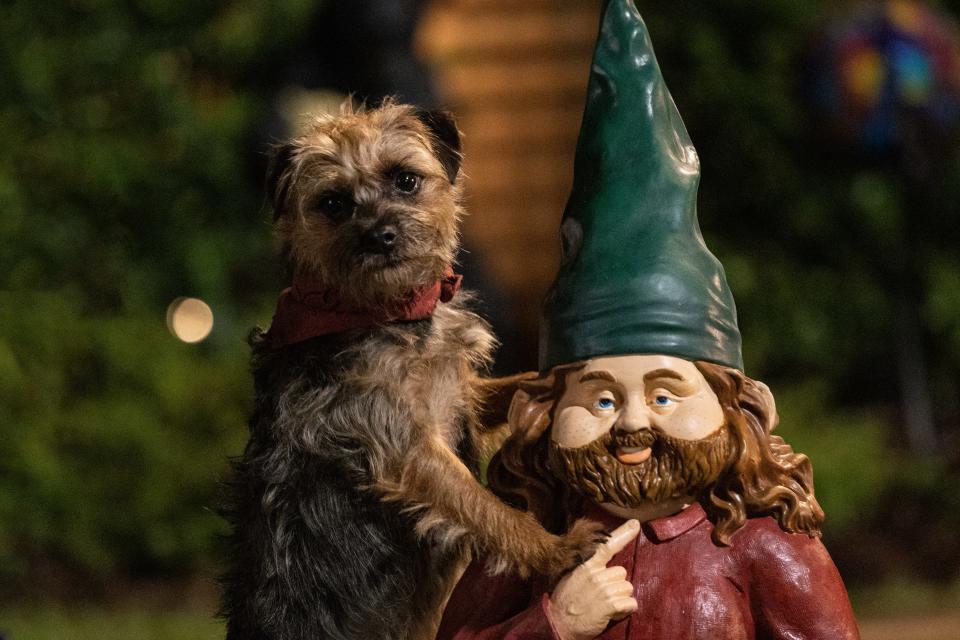 Reggie (Will Ferrell) gives humping a yard gnome a go in the raucous dog comedy "Strays."