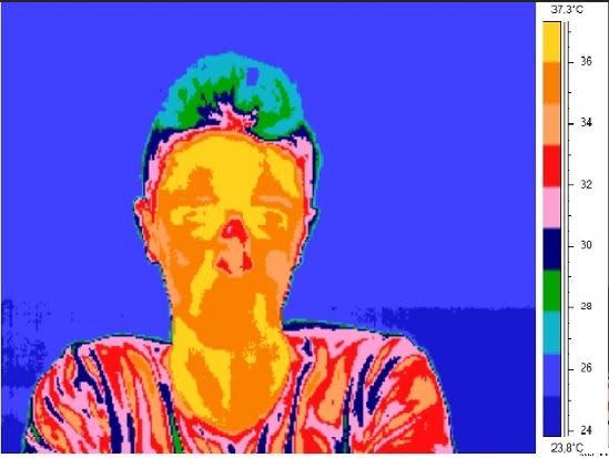 A thermal image (hot areas are red) shows off how lies affect the face (Image: University of Granada)