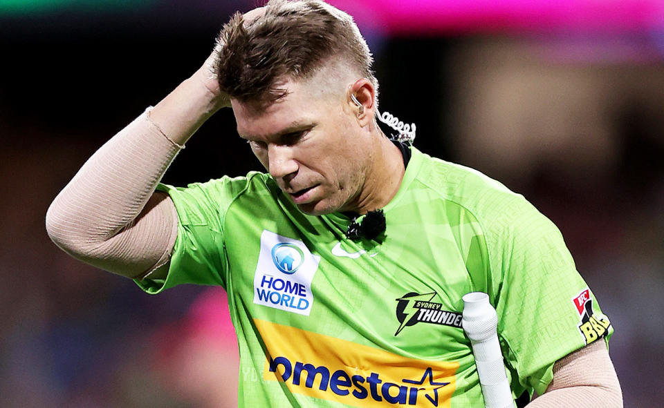 David Warner, pictured here wearing a microphone in the BBL.