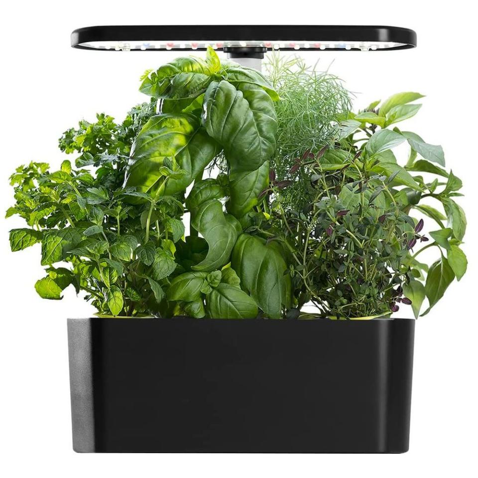 10) Indoor Garden with LED Grow Light