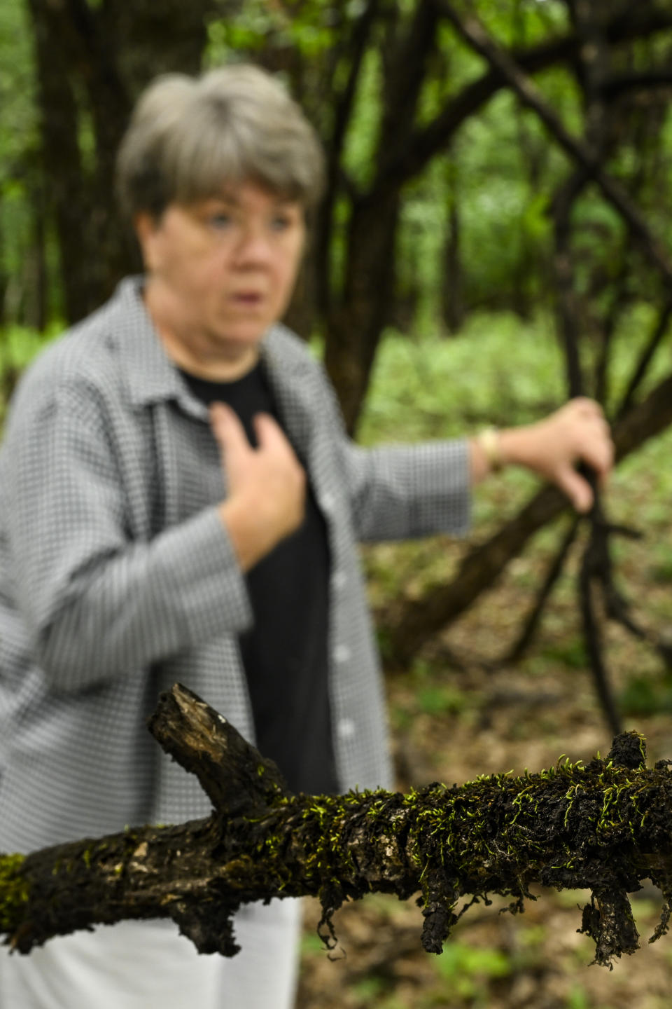 Pam Butler talks to a reporter as she stands next to a dead limb covered in a black substance and moss, as she walks her property that borders a massive Jack Daniels barrelhouse complex, Wednesday, June 14, 2023, in Mulberry, Tenn. A destructive and unsightly black fungus which feeds on ethanol emitted by whiskey barrels has been found growing on property near the barrelhouses. (AP Photo/John Amis)