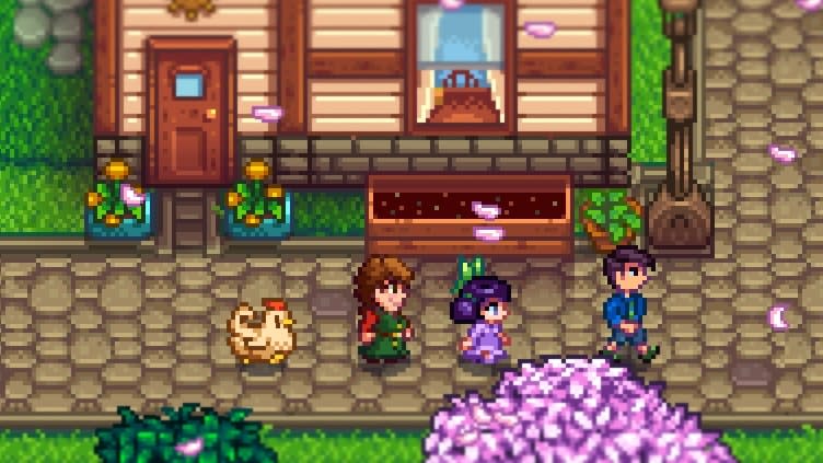  Stardew Valley. 