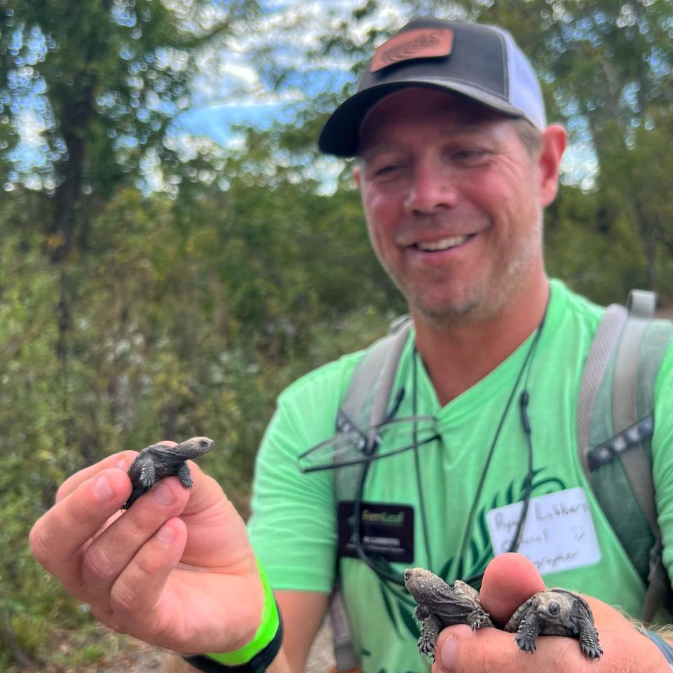 FernLeaf's Experiential Education teacher Ryan Lubbers sharing a new nest of freshly-hatched turtles found on FernLeaf's Creek Campus.