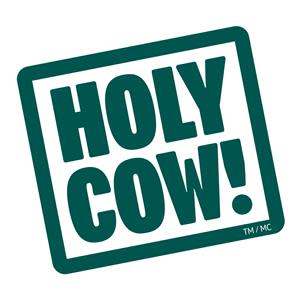 Holy Cow Foods Inc.