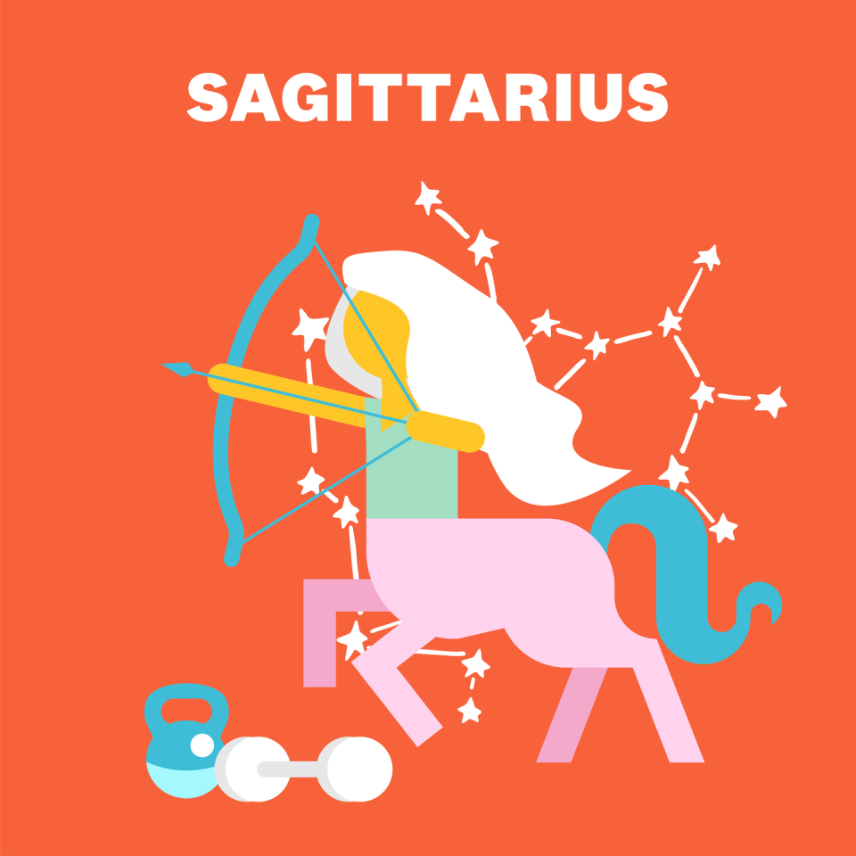 SAGITTARIUS (NOVEMBER 22–DECEMBER 21)